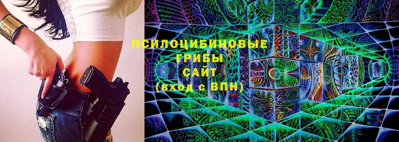 hydra как зайти  Северская  Галлюциногенные грибы Psilocybine cubensis 